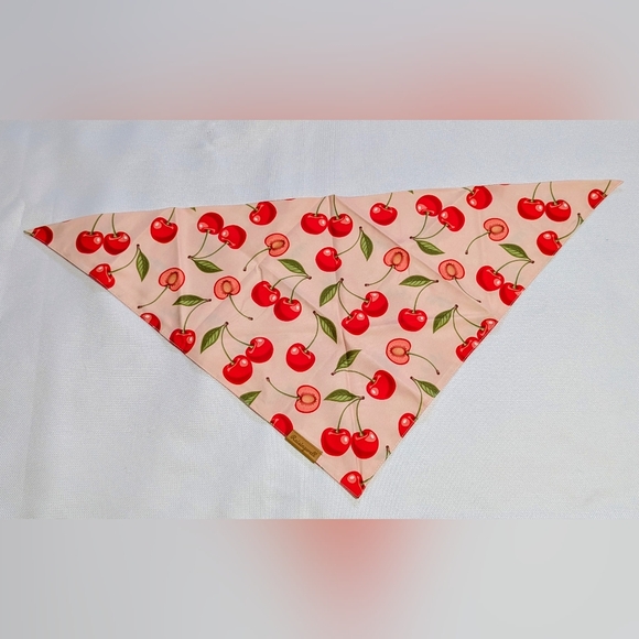 Raisingwell Pet Fruit Print Bandana Set-Yellow and Pink Reversible Size: XL - Picture 3 of 10